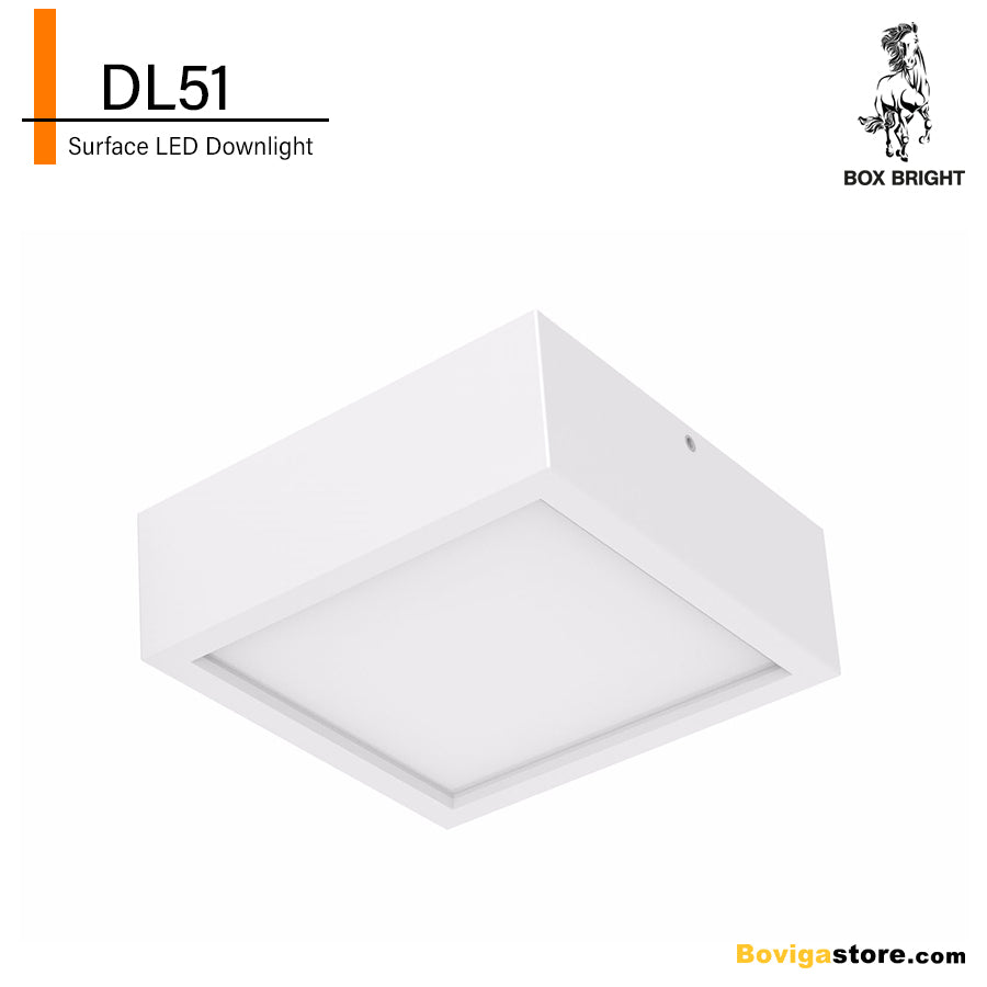DL51 | LED โคมไฟเพดานติดลอย