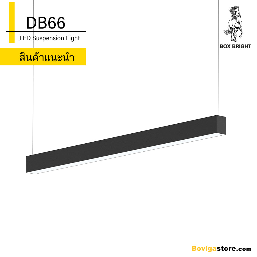 DB66 | LED Suspension Light