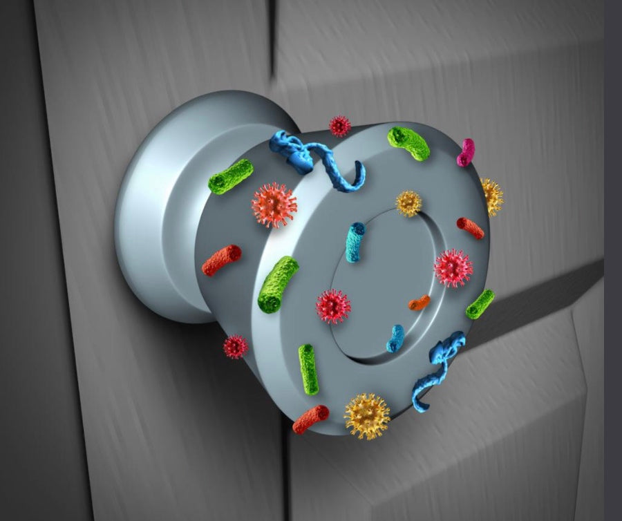 รู้จักหลอดไฟ UVC ฆ่าเชื้อโรค ส่องสว่าง สร้างคุณภาพชีวิตที่ดี