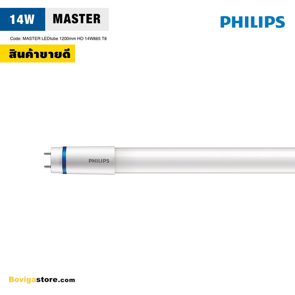 Master ledtube 1200mm ho 14w865 hot sale t8